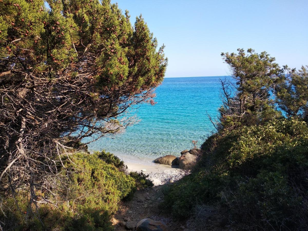 Villa Anna Capoterra Εξωτερικό φωτογραφία